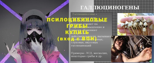 Альфа ПВП Богородицк