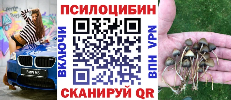 Псилоцибиновые грибы GOLDEN TEACHER  Купить где  Ворсма 
